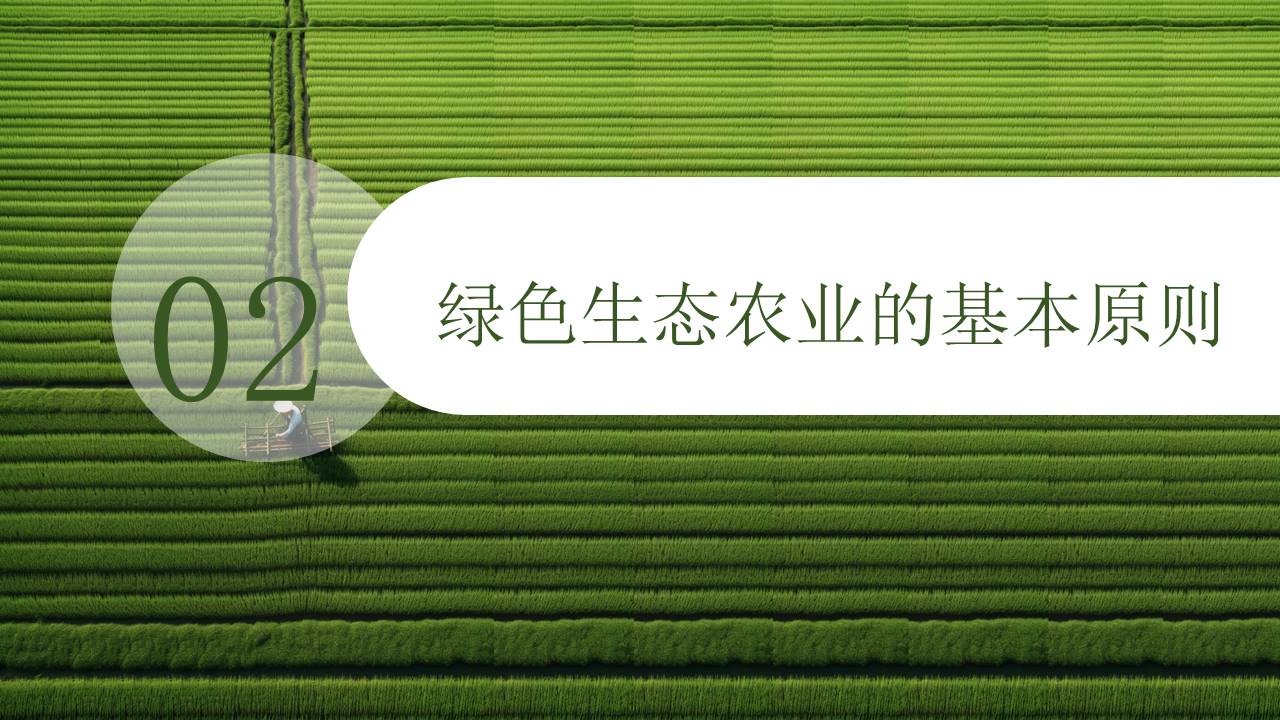 农业 (22).pptx